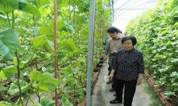 娱乐吃瓜戴手环的是谁,揭秘神秘明星幕后生活